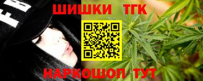 стаф Камышлов